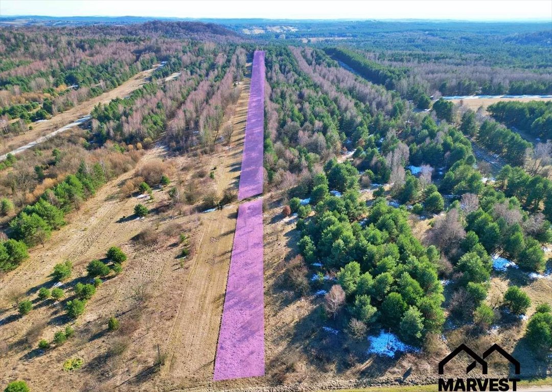 Działka rolna na sprzedaż Niegowa  7 751m2 Foto 3