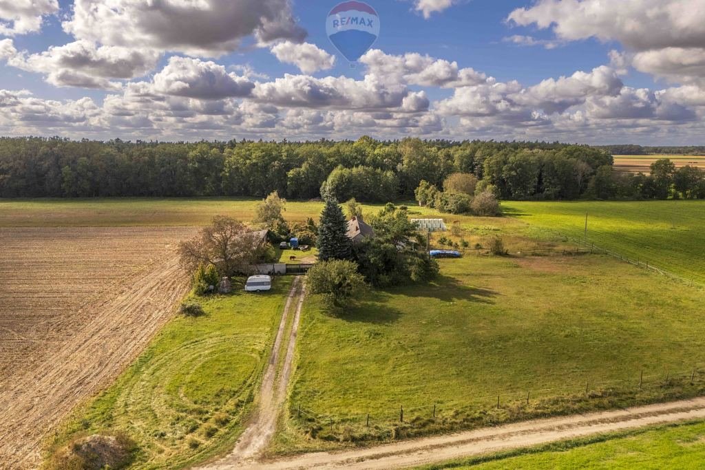 Działka budowlana na sprzedaż Rębiechów  107 200m2 Foto 6