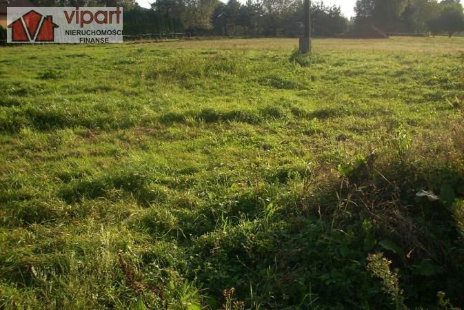 Działka inna na sprzedaż Dankowice 2 354m2 Foto 1 Działka inna na sprzedaż Dankowice 2 354m2 Foto 1