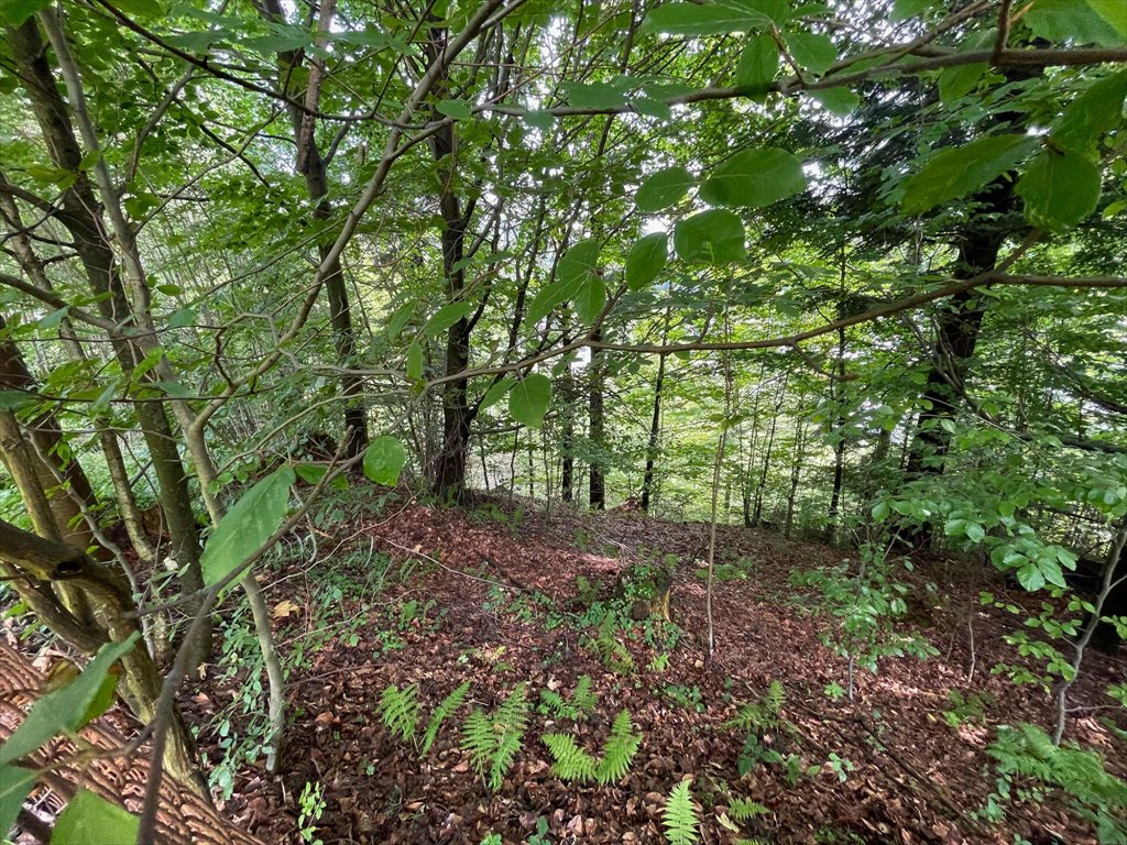 Działka budowlana na sprzedaż Wisła, Wisła  2 750m2 Foto 15