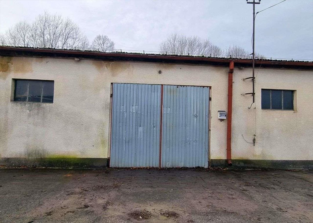 Magazyn na wynajem Mosina  800m2 Foto 3