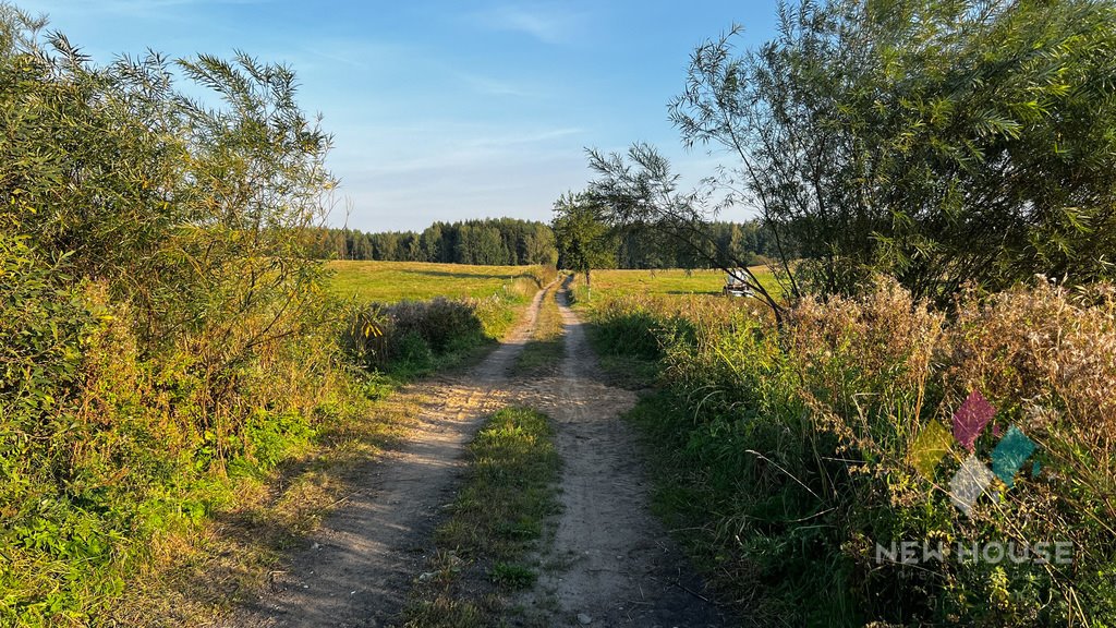 Działka rolna na sprzedaż Bugi  35 600m2 Foto 6