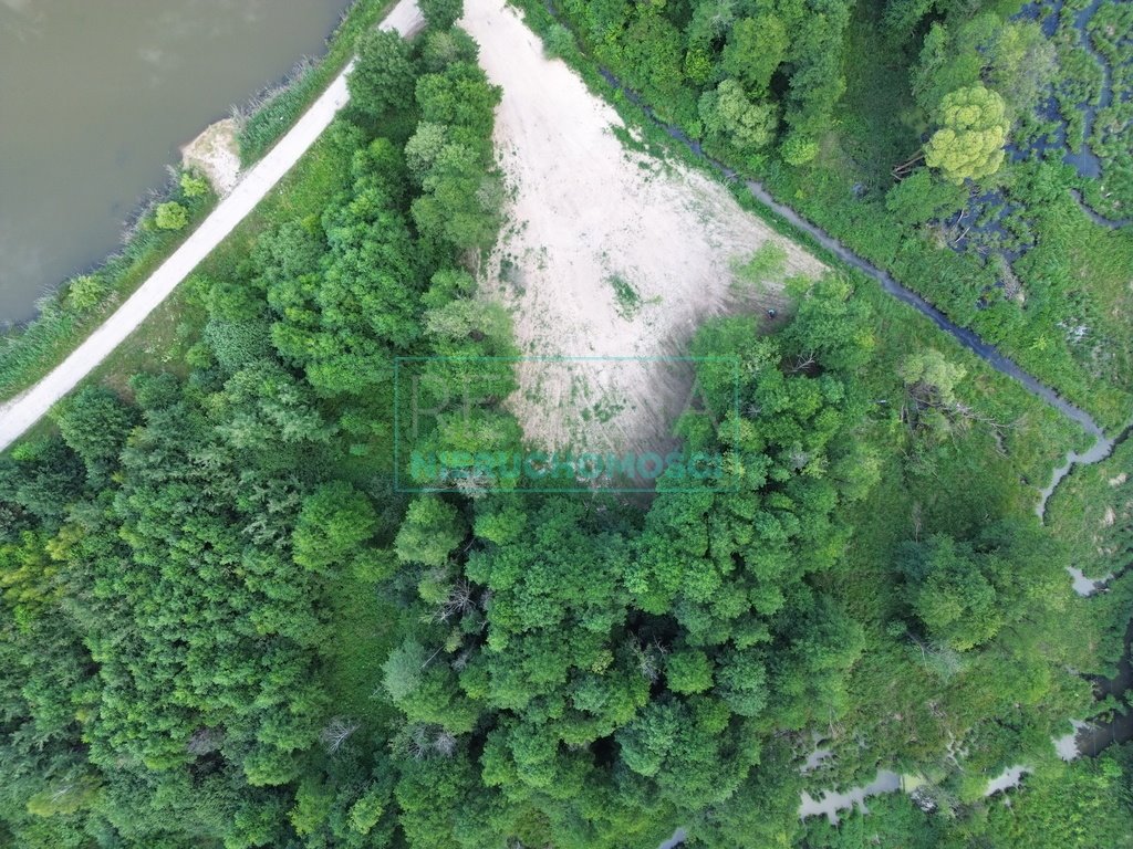 Działka siedliskowa na sprzedaż Kamionka  10 000m2 Foto 1