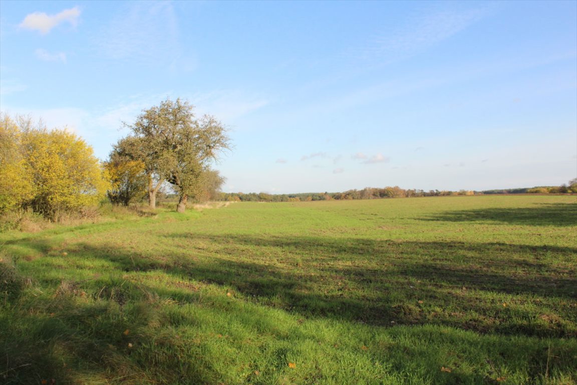 Działka budowlana na sprzedaż Mesze  1 000m2 Foto 13