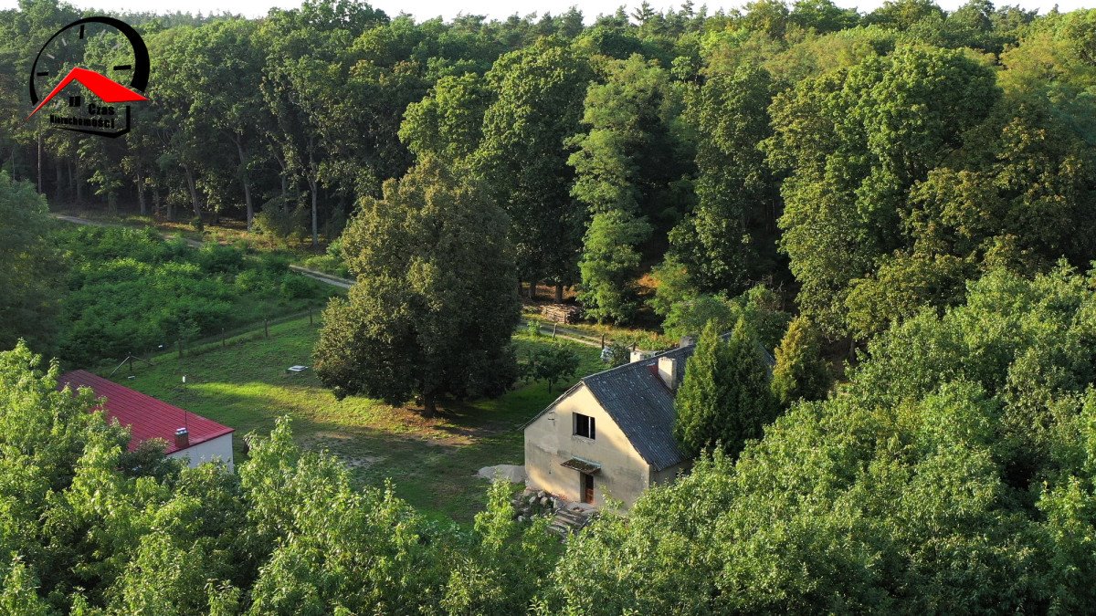 Dom na sprzedaż Sędowo  250m2 Foto 1