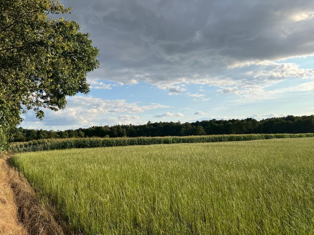 Działka inwestycyjna na sprzedaż Wodzierady  45 094m2 Foto 5