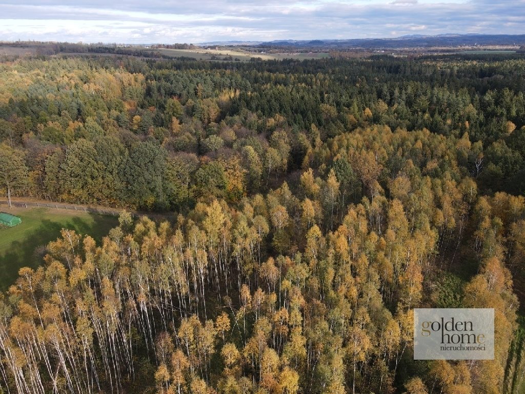 Działka budowlana na sprzedaż Leśna, Świecie  950m2 Foto 11