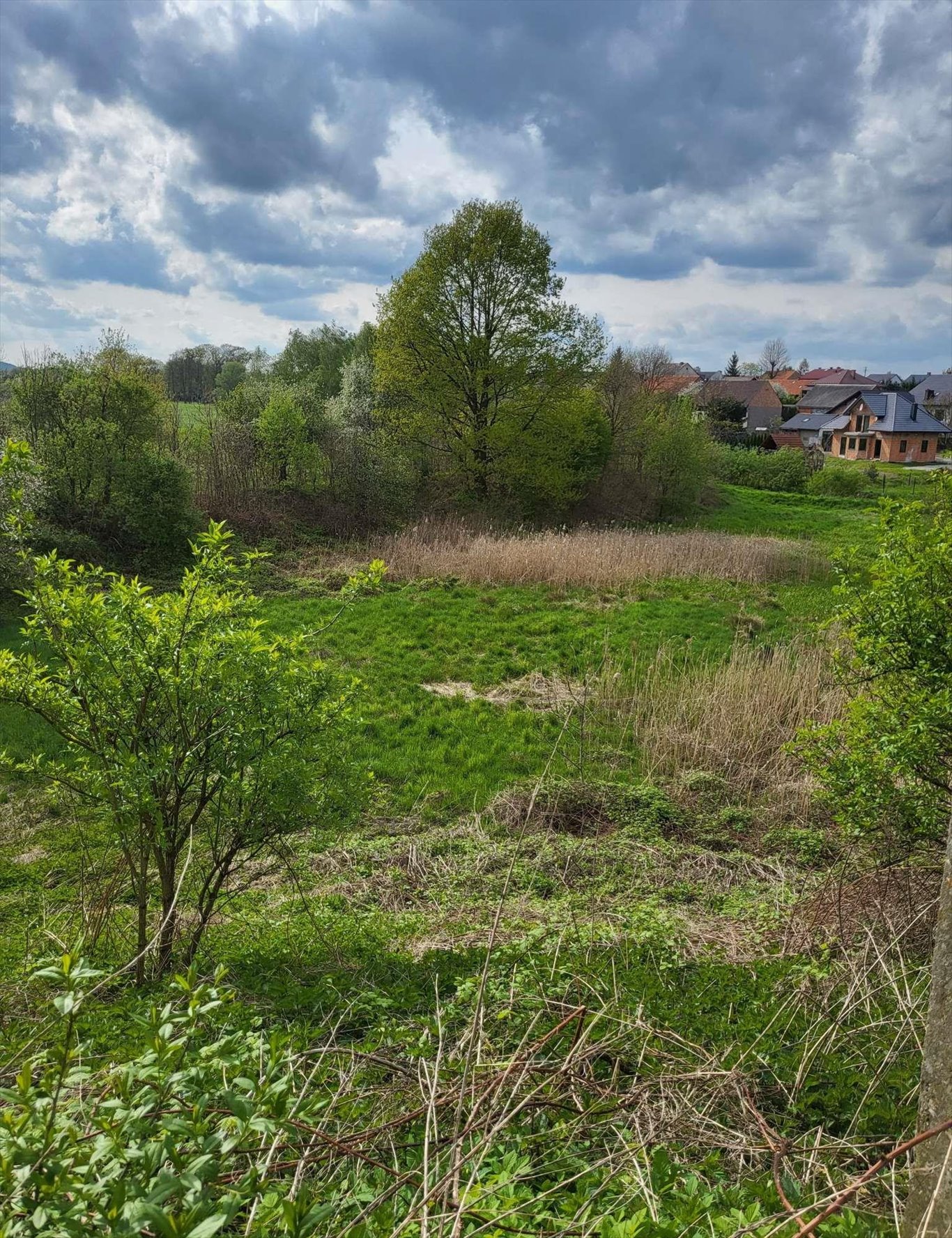 Działka budowlana na sprzedaż Kaszów  5 000m2 Foto 1