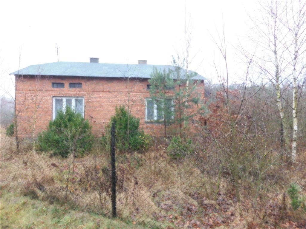 Dom na sprzedaż Marzenin 90m2 Foto 1 Dom na sprzedaż Marzenin 90m2 Foto 1
