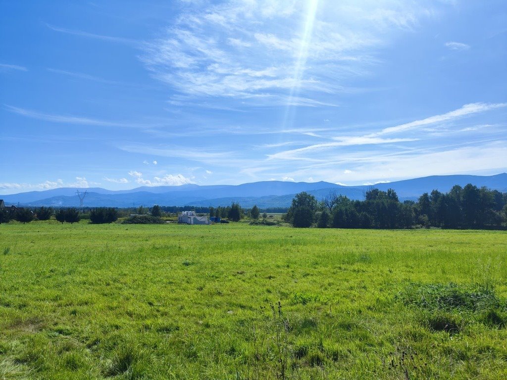 Działka budowlana na sprzedaż Wojcieszyce  1 000m2 Foto 1