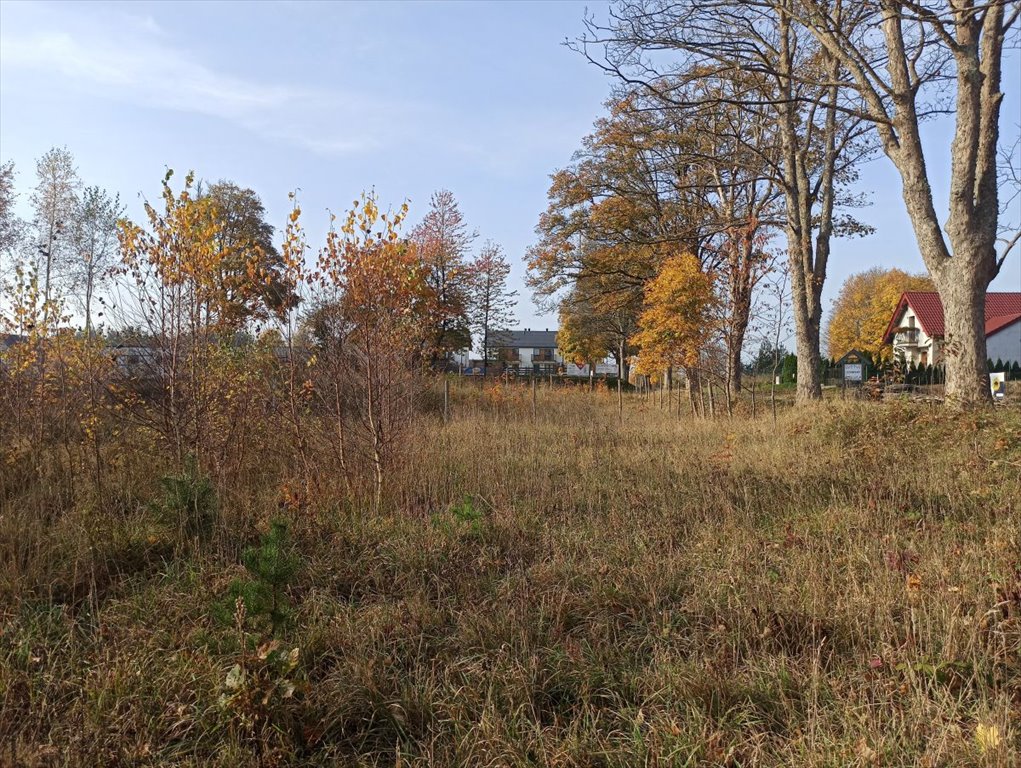 Działka budowlana na sprzedaż Leśniewo, Pucka  1 013m2 Foto 6