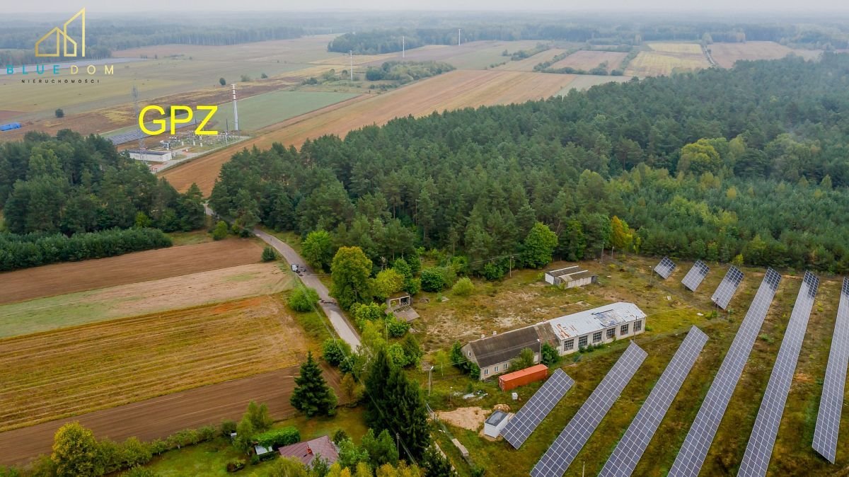 Działka budowlana na sprzedaż Milejczyce  5 391m2 Foto 3