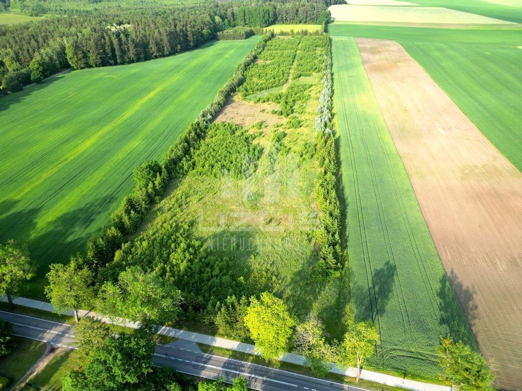 Działka budowlana na sprzedaż Bietowo  3 000m2 Foto 6