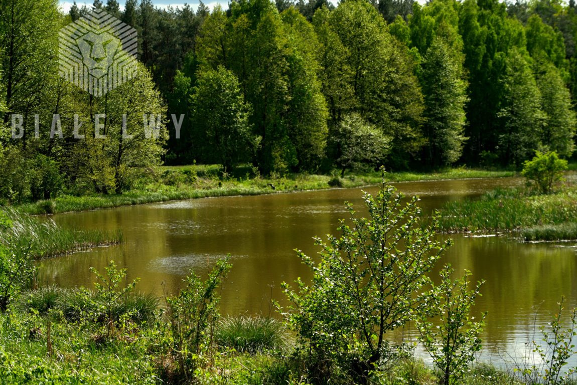 Działka w Borsukach z dostępem do Narwi i przyrody Nowe Borsuki  3 019m2 Foto 1