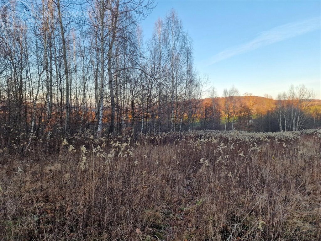 Działka budowlana na sprzedaż Gromnik  1 282m2 Foto 9