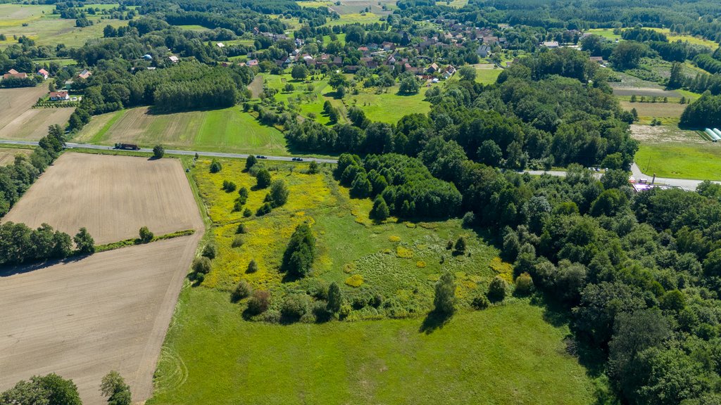 Działka inna na sprzedaż Kuźniczysko  9 900m2 Foto 7