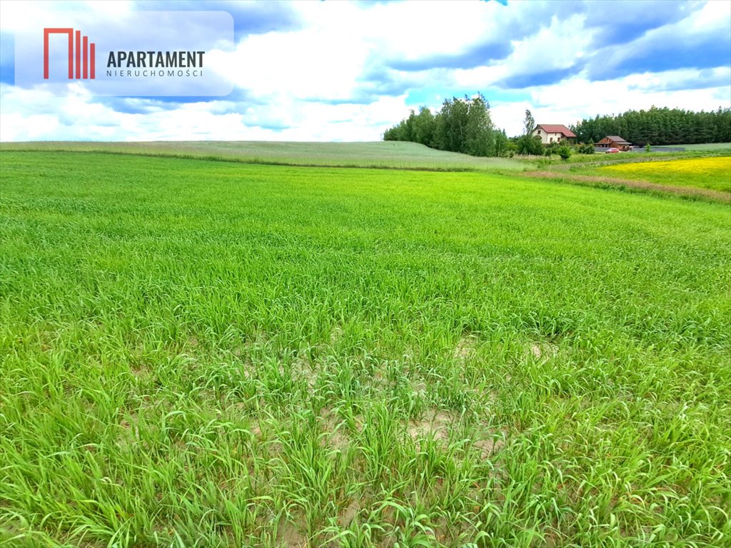 Działka rolna z możliwością podziału, 3 000 m2, Bysław Bysław  3 000m2 Foto 1