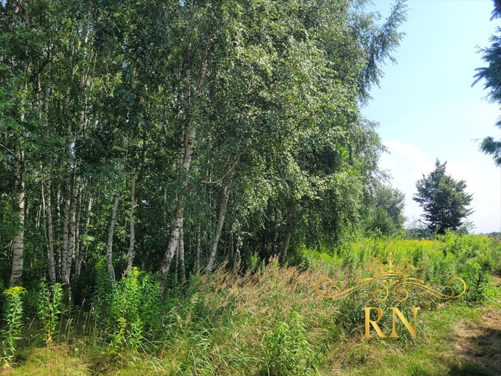 Działka rolna na sprzedaż Tereszyn  3 100m2 Foto 6