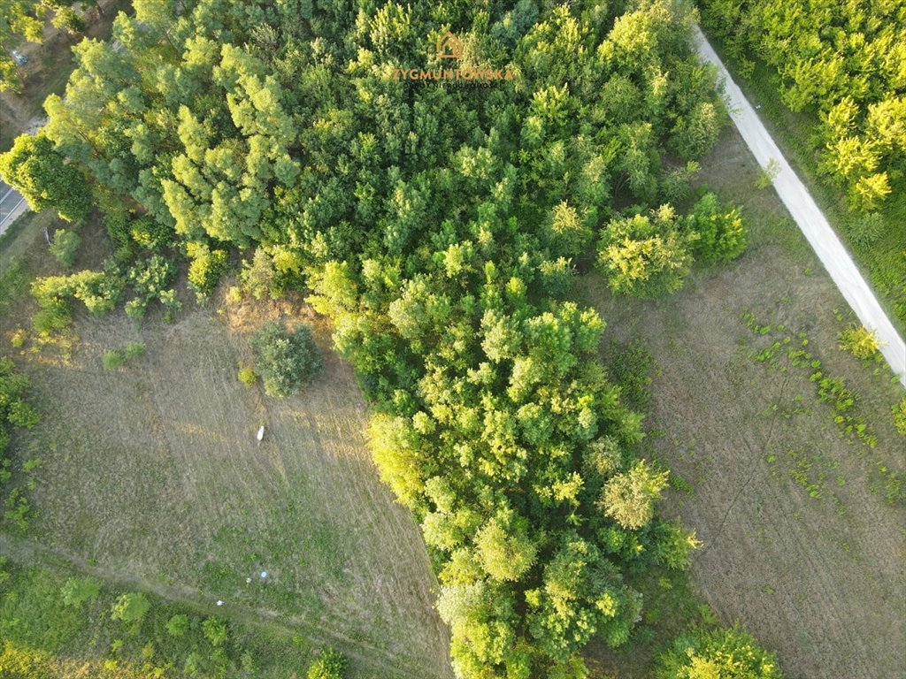 Działka rolna na sprzedaż Nowe Miasto nad Pilicą, Pobiedna, Pobiedna  2 543m2 Foto 1