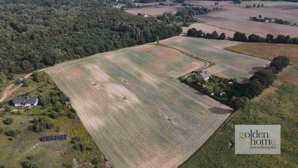 Działka budowlana na sprzedaż Grzebienisko, Świerkowa  2 555m2 Foto 9