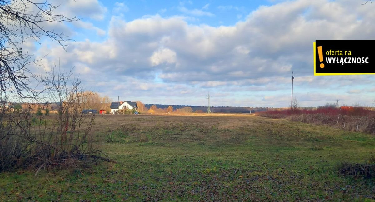 Działka przemysłowo-handlowa na sprzedaż Osiek, Grobla  32 750m2 Foto 9