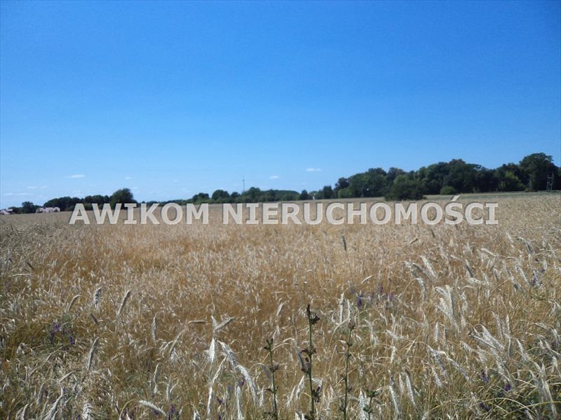 Działka rolna na sprzedaż Żabia Wola, Zaręby  11 700m2 Foto 1