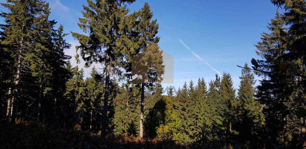 Działka rolna 7400 m² z widokiem na Góry Ślężańskie Sobótka  7 400m2 Foto 1