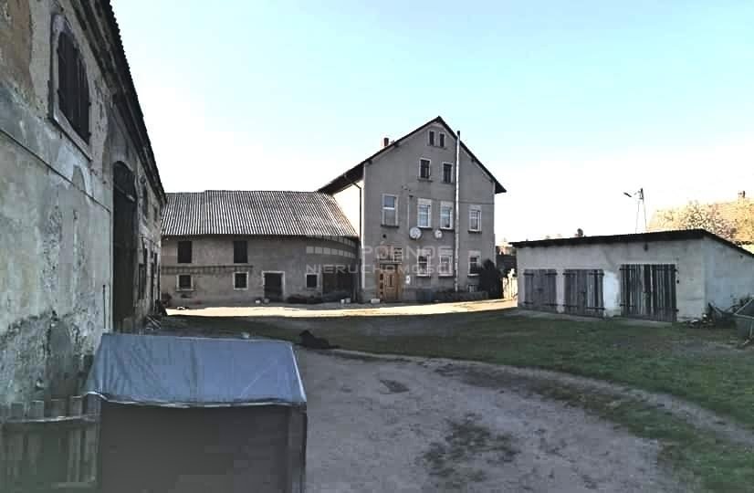 Lokal użytkowy na sprzedaż Grodziec  300m2 Foto 5