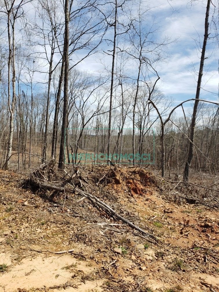 Działka budowlana na sprzedaż Sade Budy  2 200m2 Foto 1