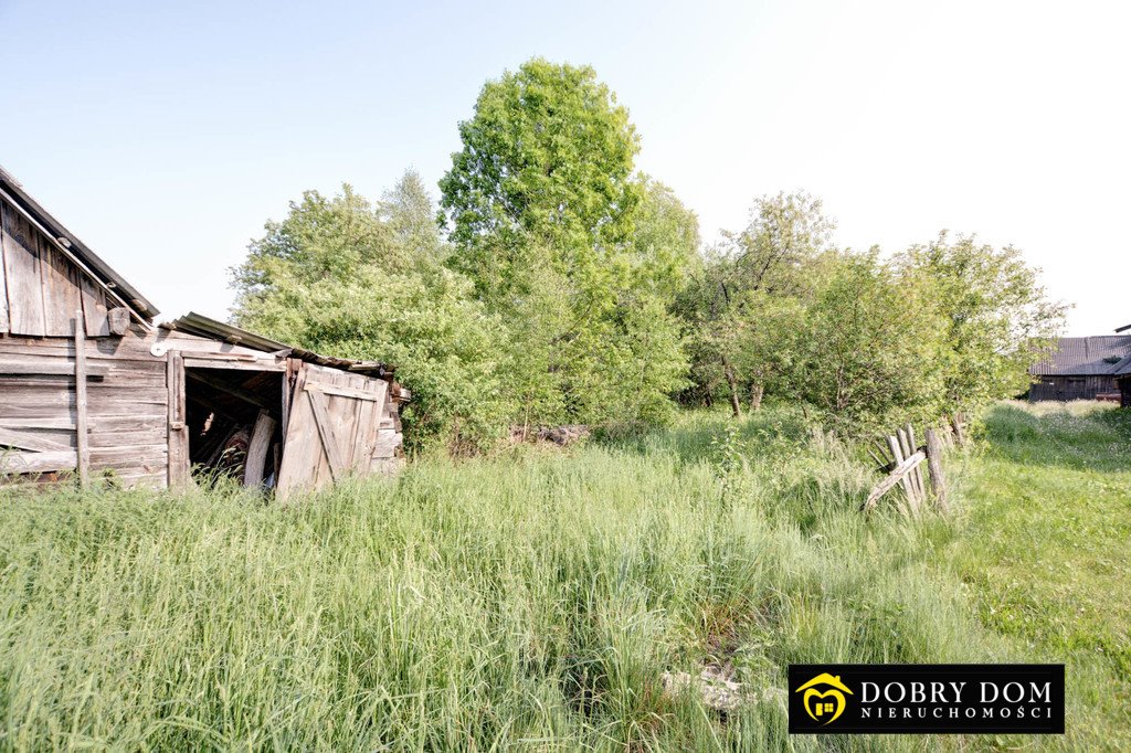 Dom na sprzedaż Białowieża  80m2 Foto 19