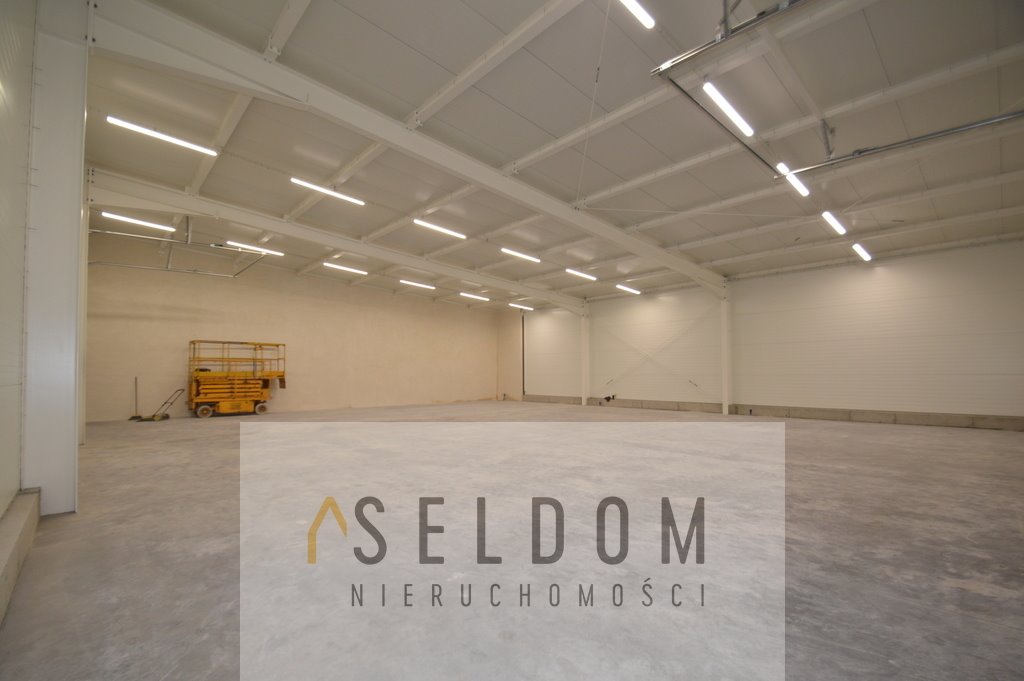 Lokal użytkowy na wynajem Opole, Śródmieście  330m2 Foto 3