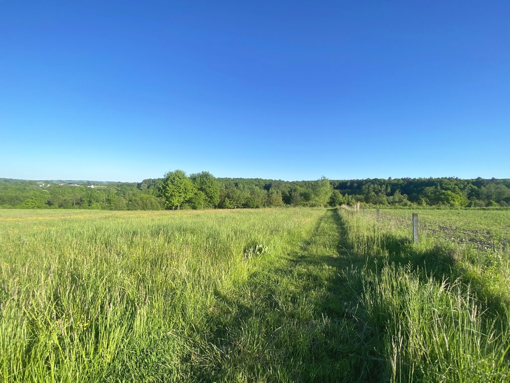 Działka budowlana na sprzedaż Hermanowa  16 000m2 Foto 8