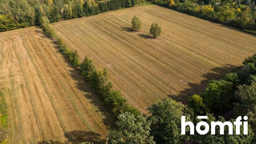 Działka budowlana na sprzedaż Makowiec, Gajowa  10 500m2 Foto 15