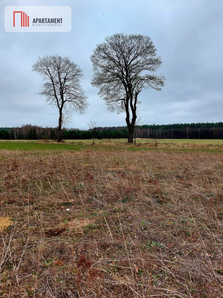 Działka budowlana na sprzedaż Żeleźnica  1 264m2 Foto 6