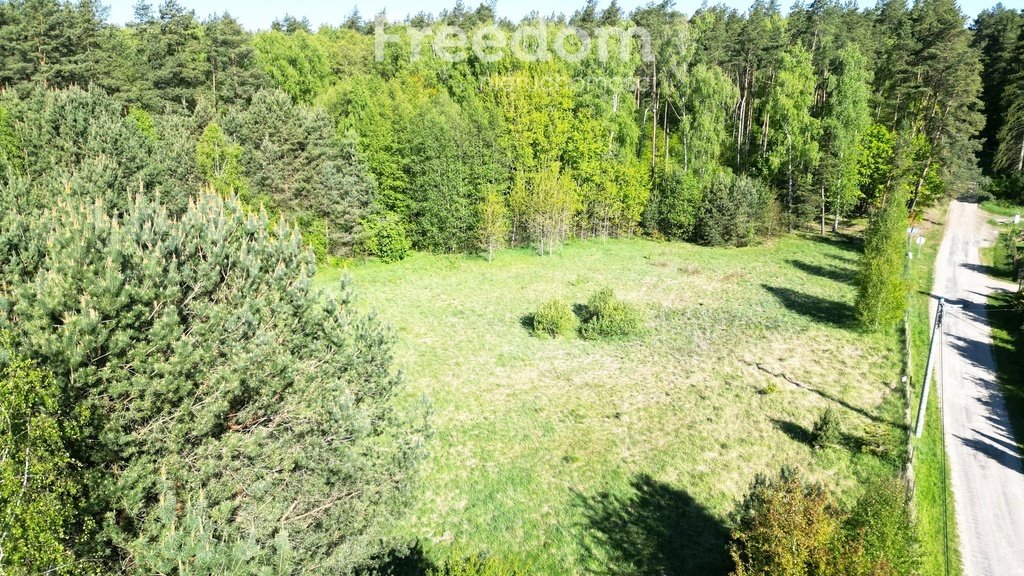 Działka 3000 m² z mediami - dostęp do lasu i jeziora Wilczany  3 001m2 Foto 1