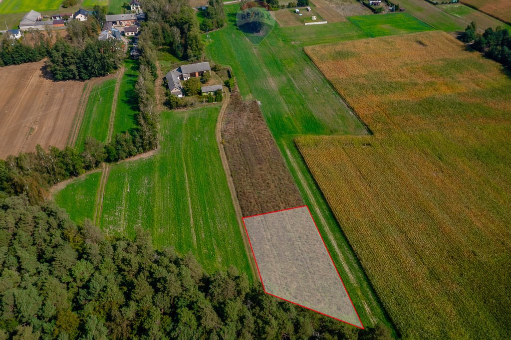 Działka budowlana na sprzedaż Wodzin Majoracki, Okupniki  1 566m2 Foto 1