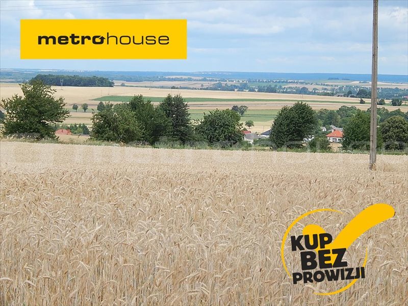 Działka inna na sprzedaż Janów, Chełm 33 379m2 Foto 1 Działka inna na sprzedaż Janów, Chełm 33 379m2 Foto 1