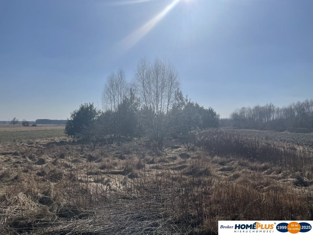 Działka budowlana na sprzedaż Rasztów  12 365m2 Foto 1