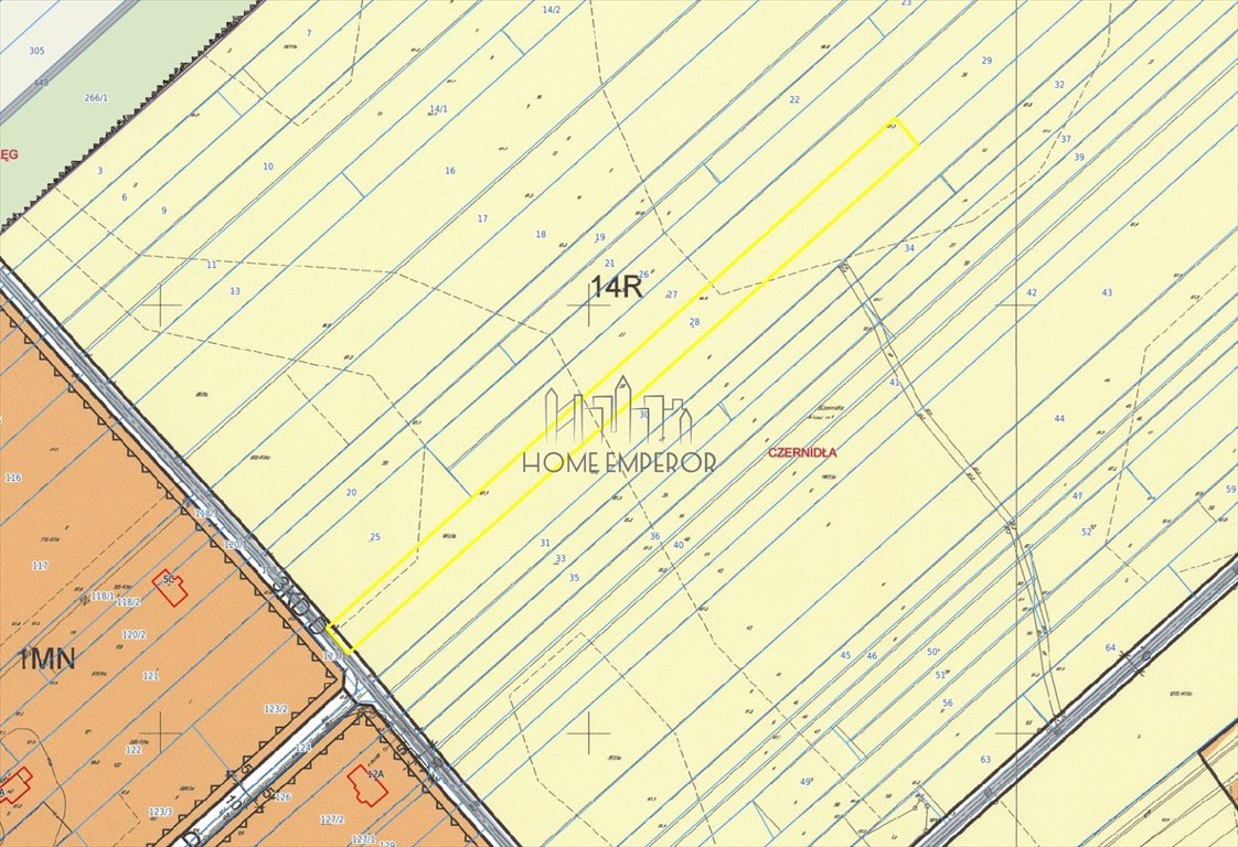 Działka rolna 5800 m² z mediami, bez zabudowy, Czernidła Czernidła  5 800m2 Foto 1