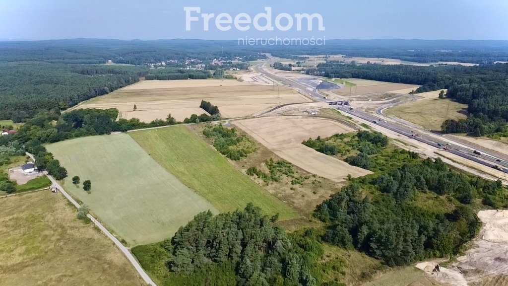 Działka budowlana na sprzedaż Dargobądz  18 900m2 Foto 5