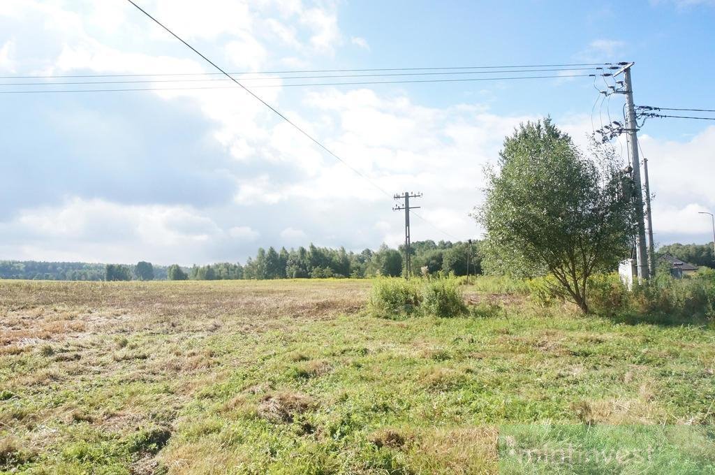 Działka budowlana na sprzedaż Żółwia Błoć  3 008m2 Foto 5