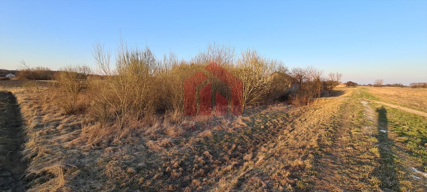 Działka budowlana na sprzedaż Dąbrowica  15 000m2 Foto 15