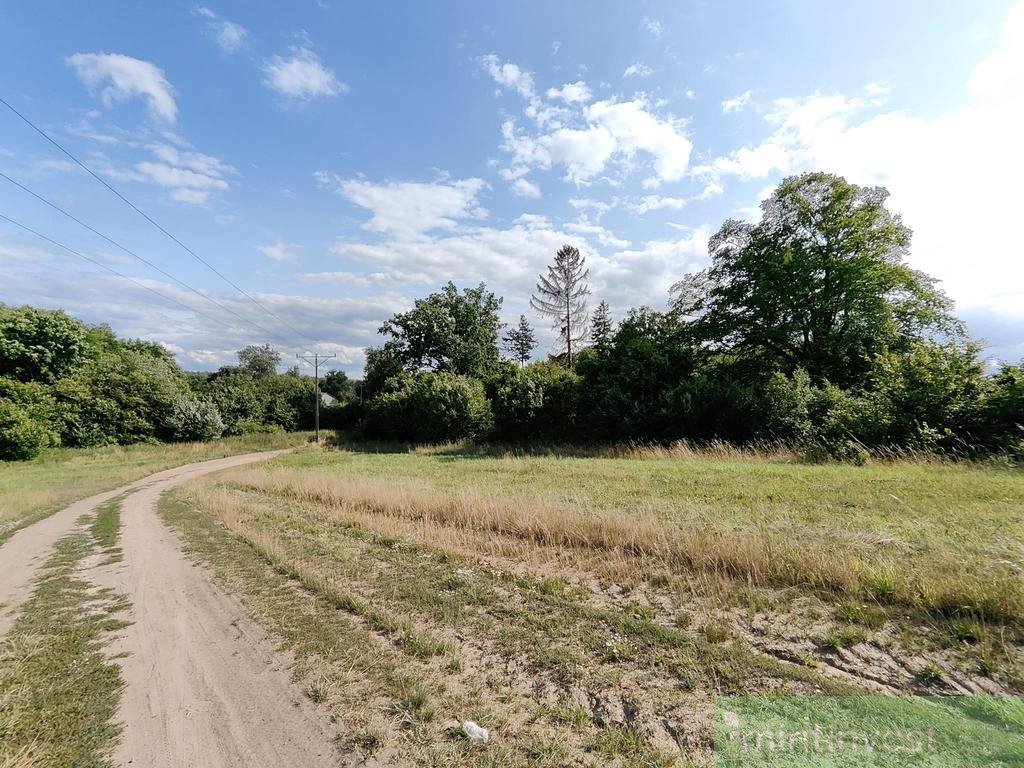 Działka rolna na sprzedaż Gola Dolna  19 800m2 Foto 6