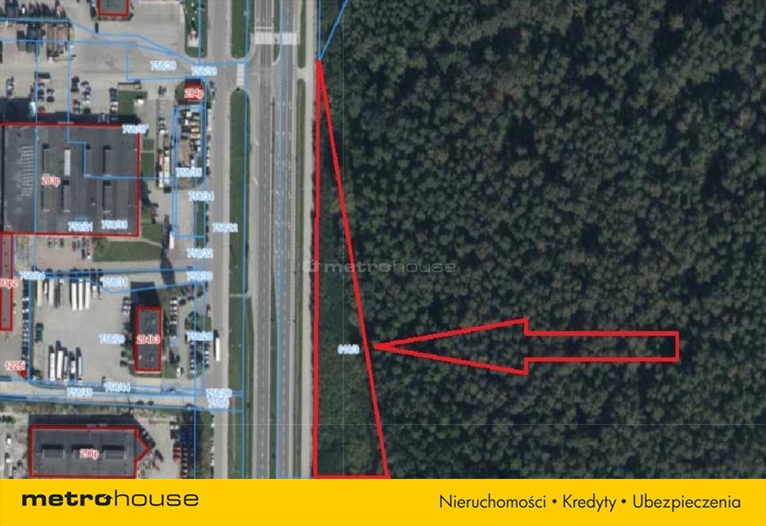 Działka inna na sprzedaż Kielce, Barwinek, Ściegiennego  4 482m2 Foto 2