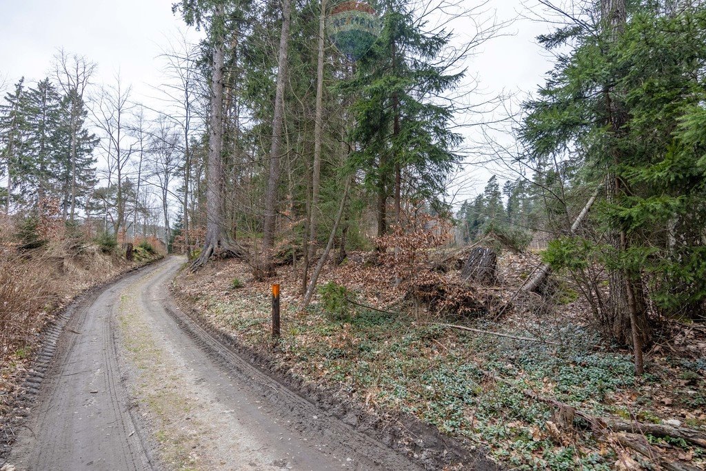 Działka rolna na sprzedaż Polanica-Zdrój, Wiejska  10 300m2 Foto 16