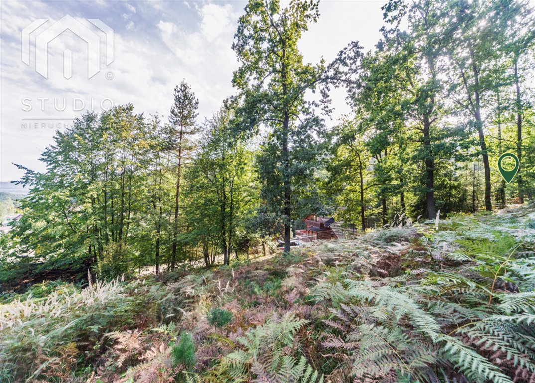 Działka budowlana na sprzedaż Tresna, Krucza  2 997m2 Foto 6
