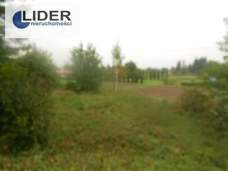 Działka budowlana na sprzedaż Nowy Sącz, Podmłynie 1 007m2 Foto 1 Działka budowlana na sprzedaż Nowy Sącz, Podmłynie 1 007m2 Foto 1
