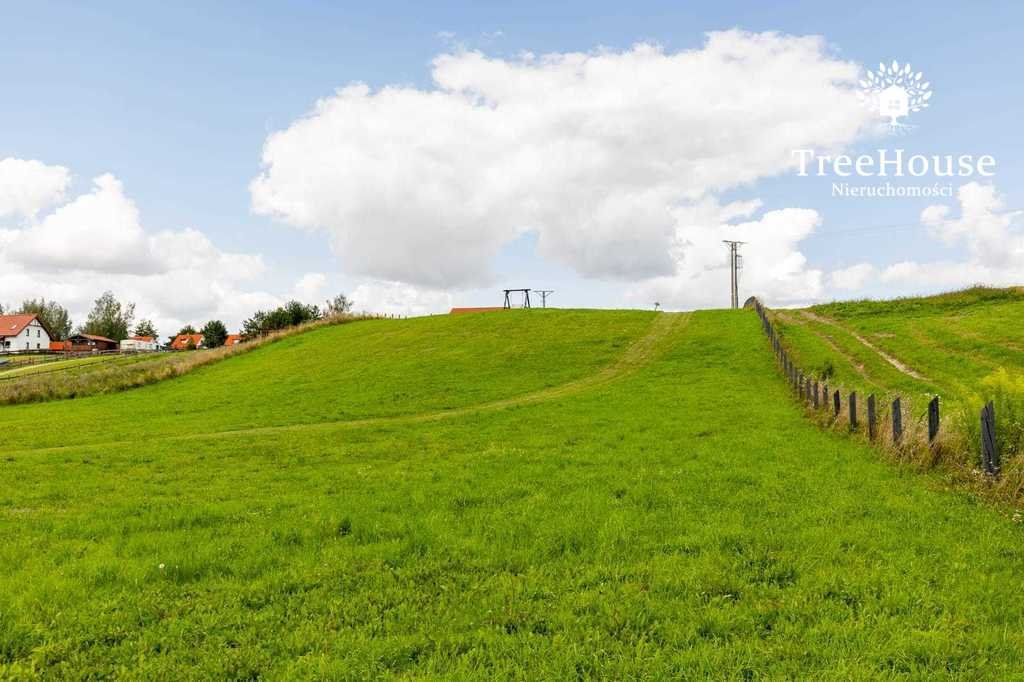 Działka budowlana na sprzedaż Pasterzewo  9 259m2 Foto 18