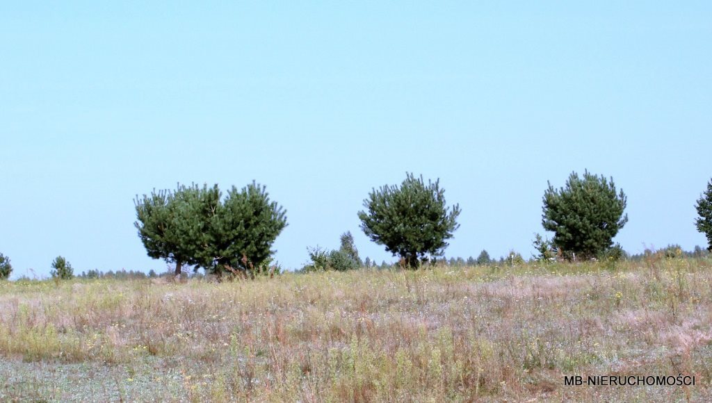 Działka budowlana na sprzedaż Korfowe  1 500m2 Foto 2