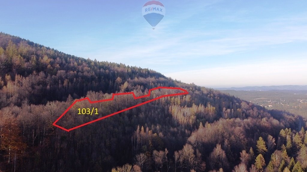 Działka leśna na sprzedaż Karpacz, Górna  14 544m2 Foto 1